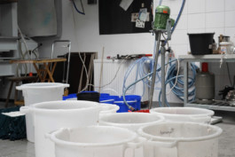 papierwerk glockenbach